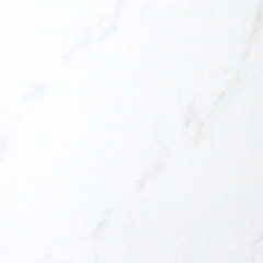 Carrara Bianco Gloss 300 x 450