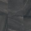 Stone Coal Polished 600 x 600 14 Faces CAYFP0107