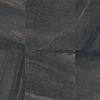 Stone Coal Polished 600 x 600 14 Faces CAYFP0107